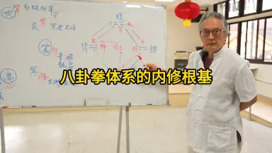 宫派八卦拳-哔哩哔哩_Bilibili