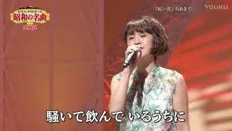 すぎもとまさと 杉本真人 紅い花 哔哩哔哩 Bilibili