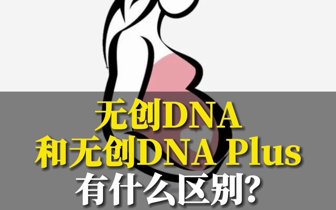 无创DNA和无创DNA Plus有什么区别?哔哩哔哩bilibili