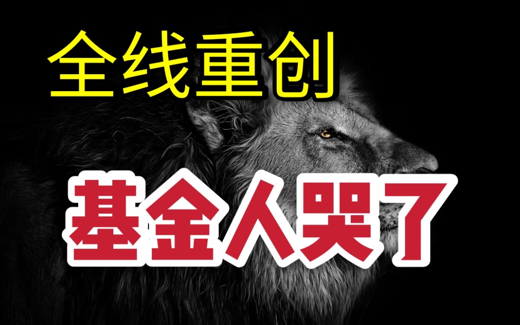 基金全线暴跌2022年只为了回本