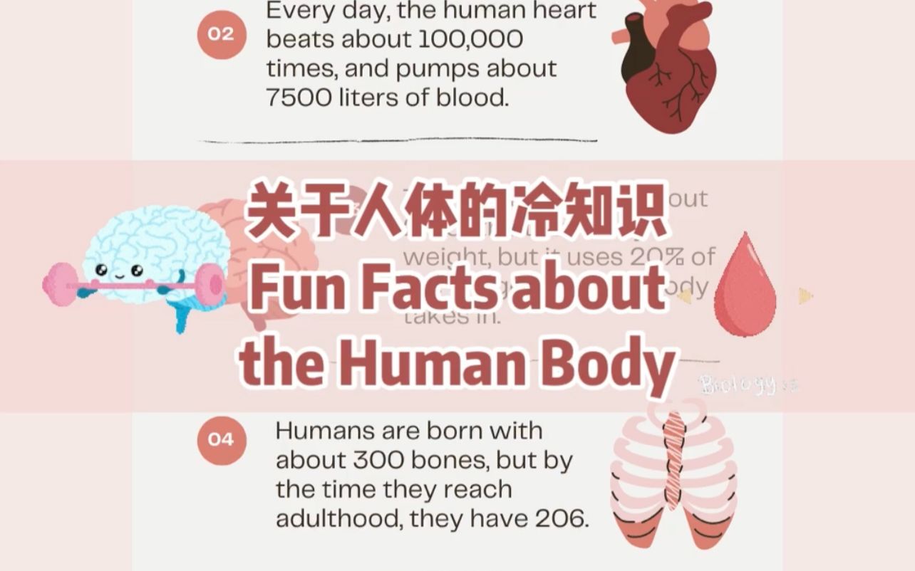 关于人体的6个冷知识 | 6 Fun Facts about the Human Body  中英双语科普哔哩哔哩bilibili