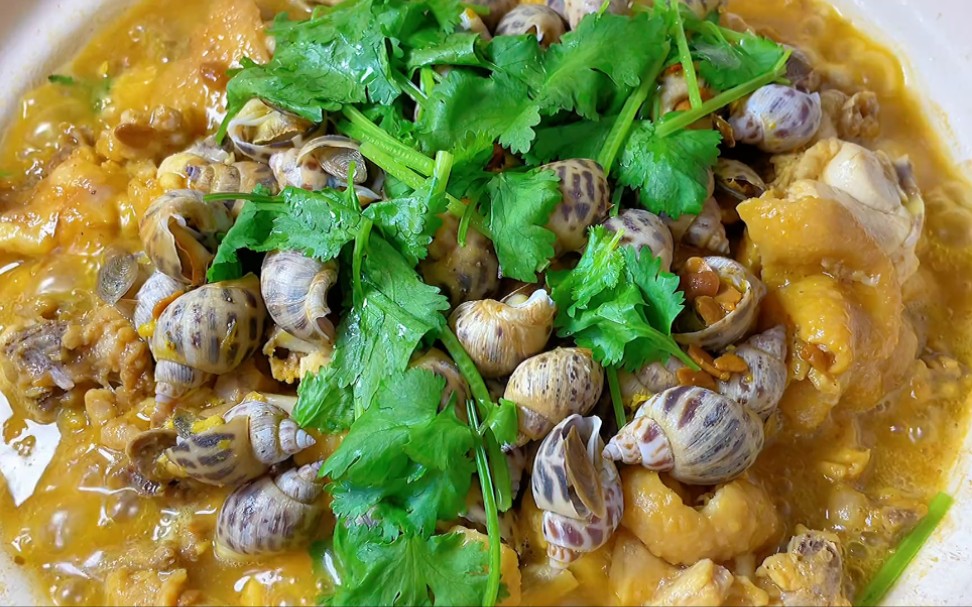 花螺和鸡的组合——花螺焗鸡煲,好吃又营养,香味飘满屋,吃一口绝对忘