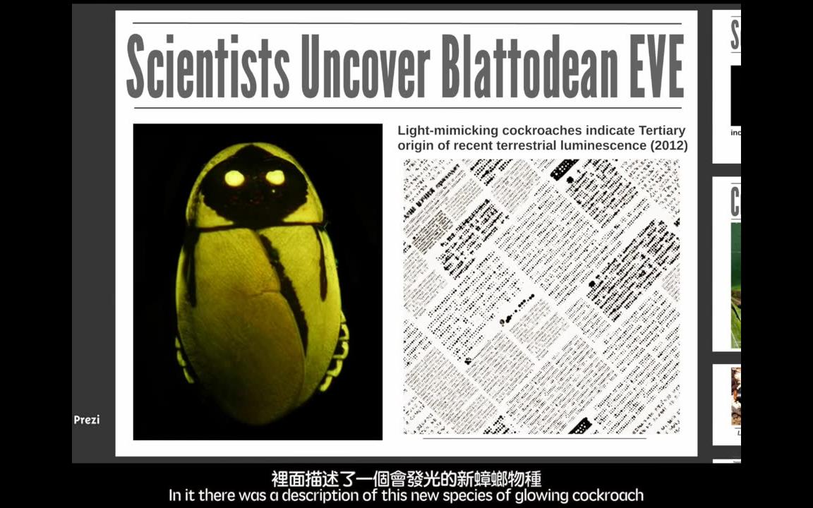 关于发光蟑螂荧光蟑螂一些有趣的论点