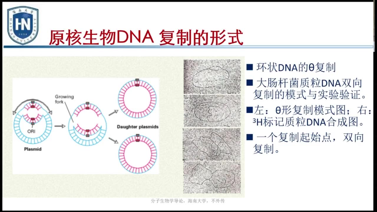 分子生物学——DNA复制第二部分哔哩哔哩bilibili