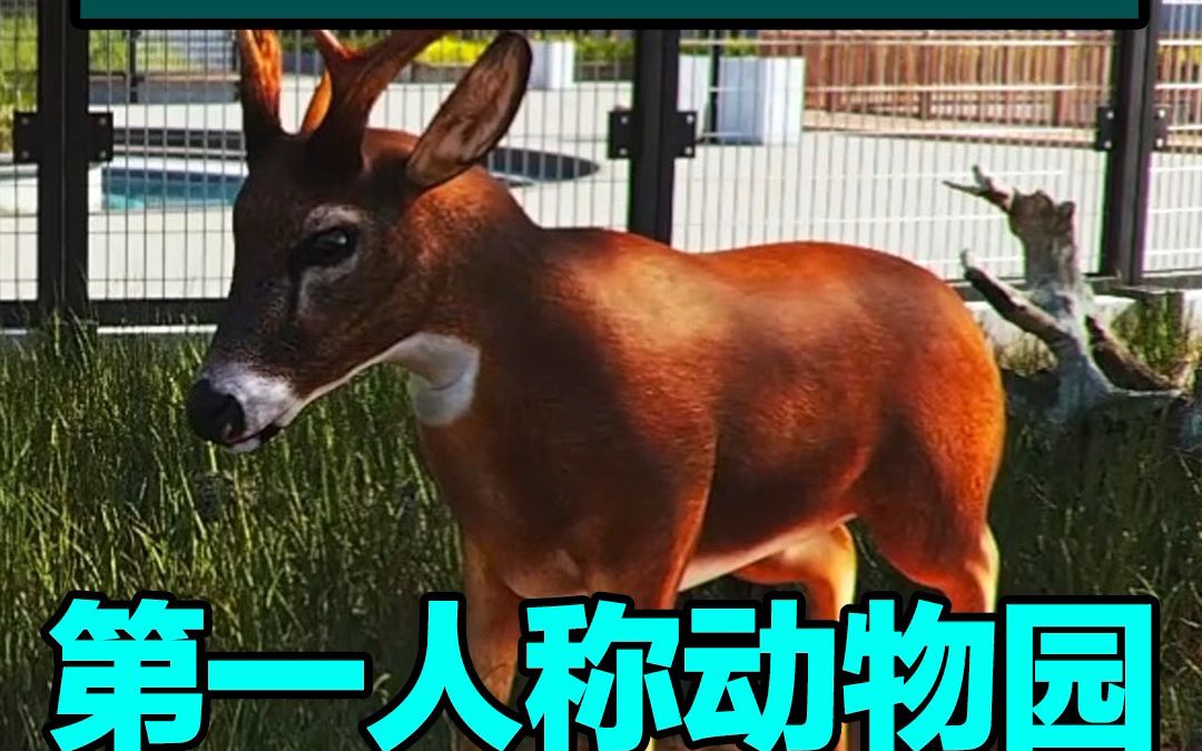 [图]【于谦老年生活模拟器】第一人称动物园模拟器 让你体验孙悦喂大象，于谦开动物园的养老生活