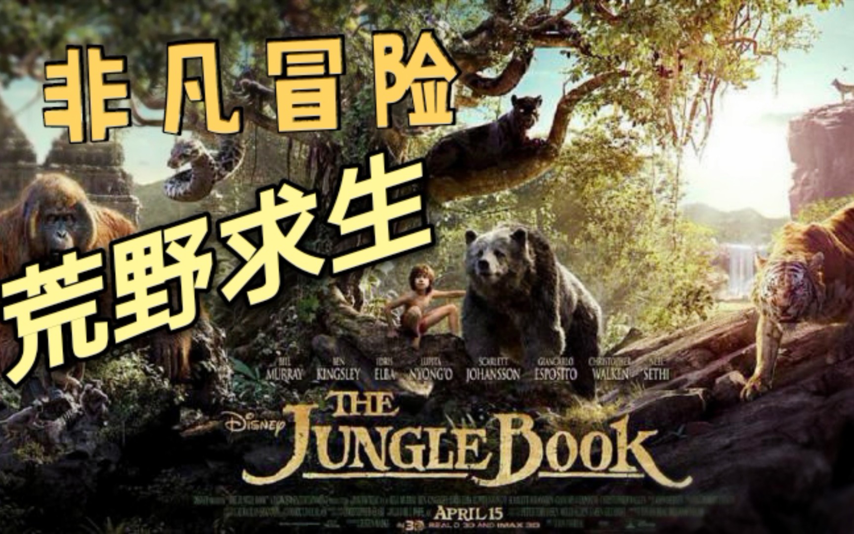 电影奇幻森林狼王和黑豹养大的孩子7岁就徏手杀掉老虎自己称霸森林