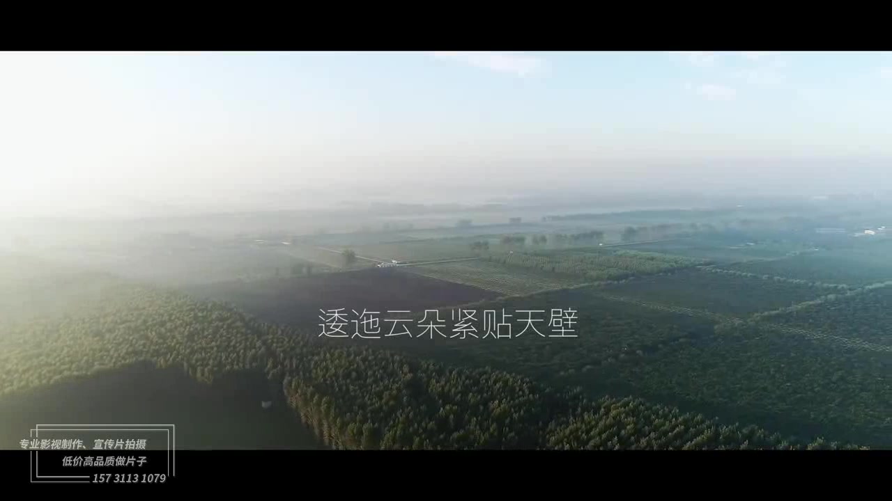 林场宣传片哔哩哔哩bilibili