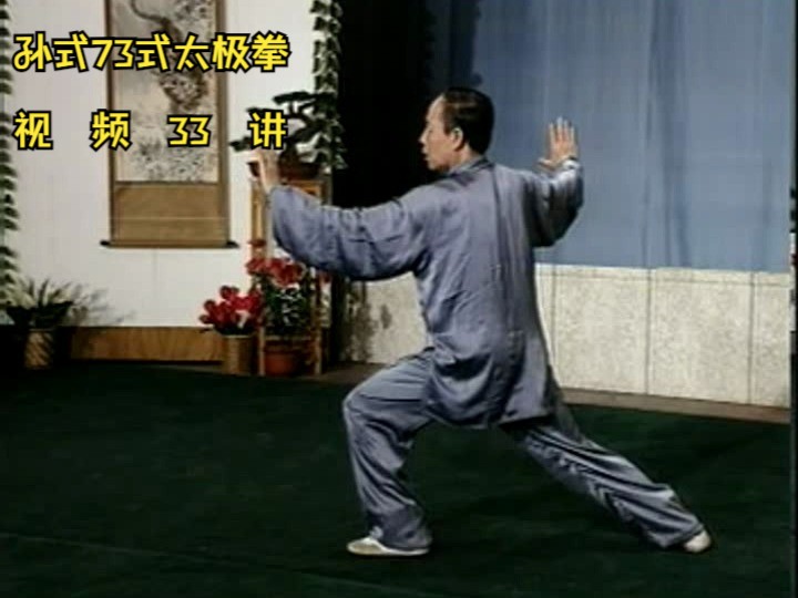中国武术课程大全 孙式73式太极拳 视频33讲 孙式73式太极拳 视频33讲