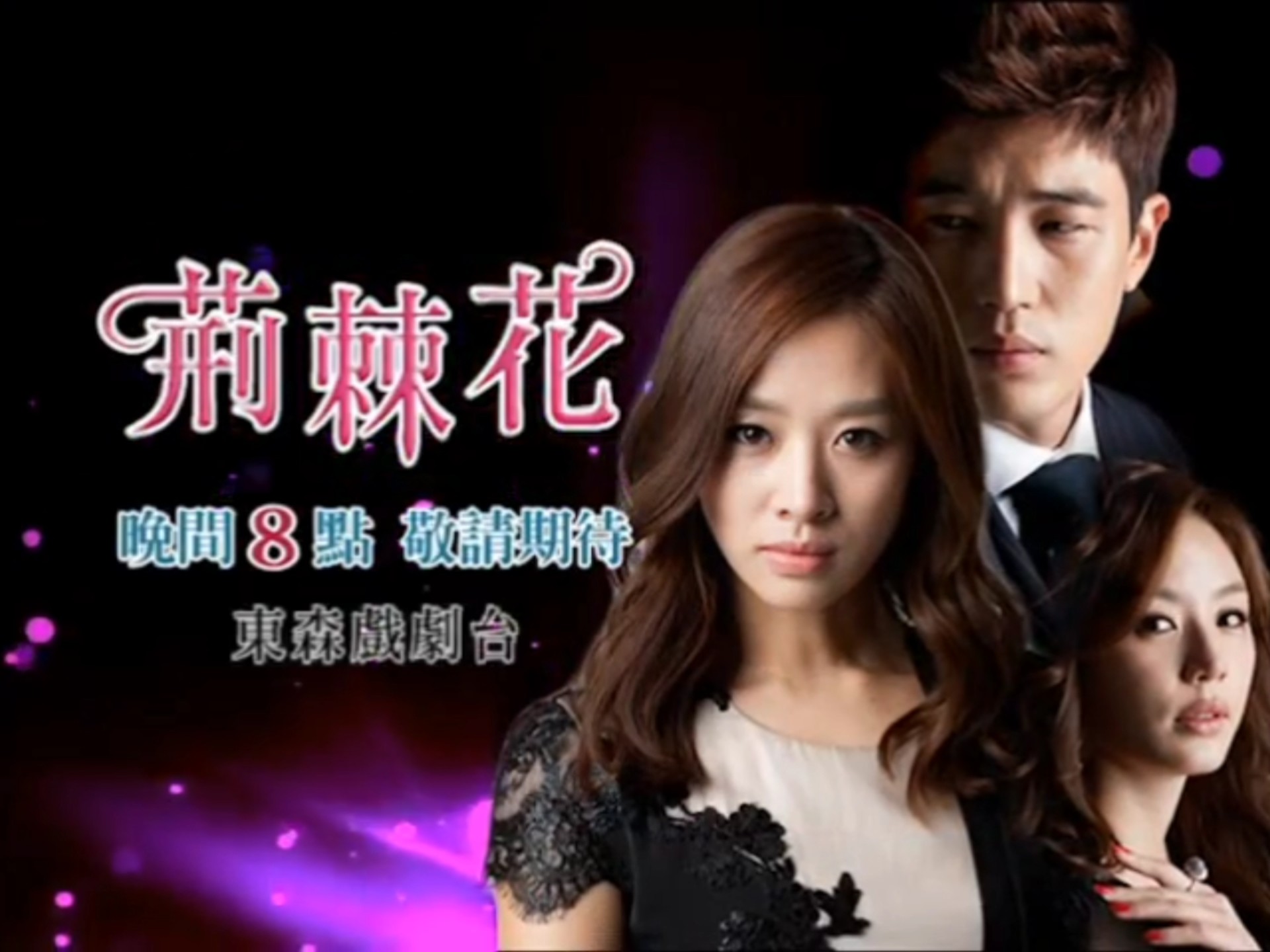 韩剧《荆棘花》国语预告 台湾东森戏剧2013