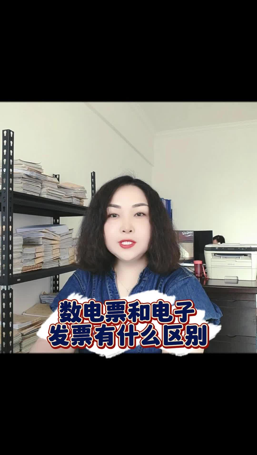 数电票和电子发票有什么区别?良辰为您解答!哔哩哔哩bilibili