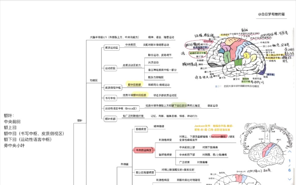 [图]【神经病学思维导图PDF·自制】累计耗时72小时 ‖ 神经病学梳理