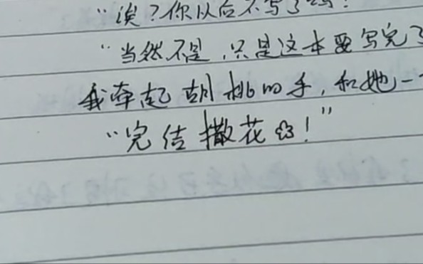 《关于我给胡桃写了一本日记这件事》