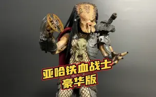 Download Video: 【模玩分享】亚哈铁血战士豪华版