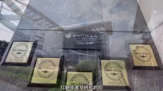 Скачать видео: 你知道广东唯一可以进机场停机坪接机的酒店吗？心动的旅行  广州