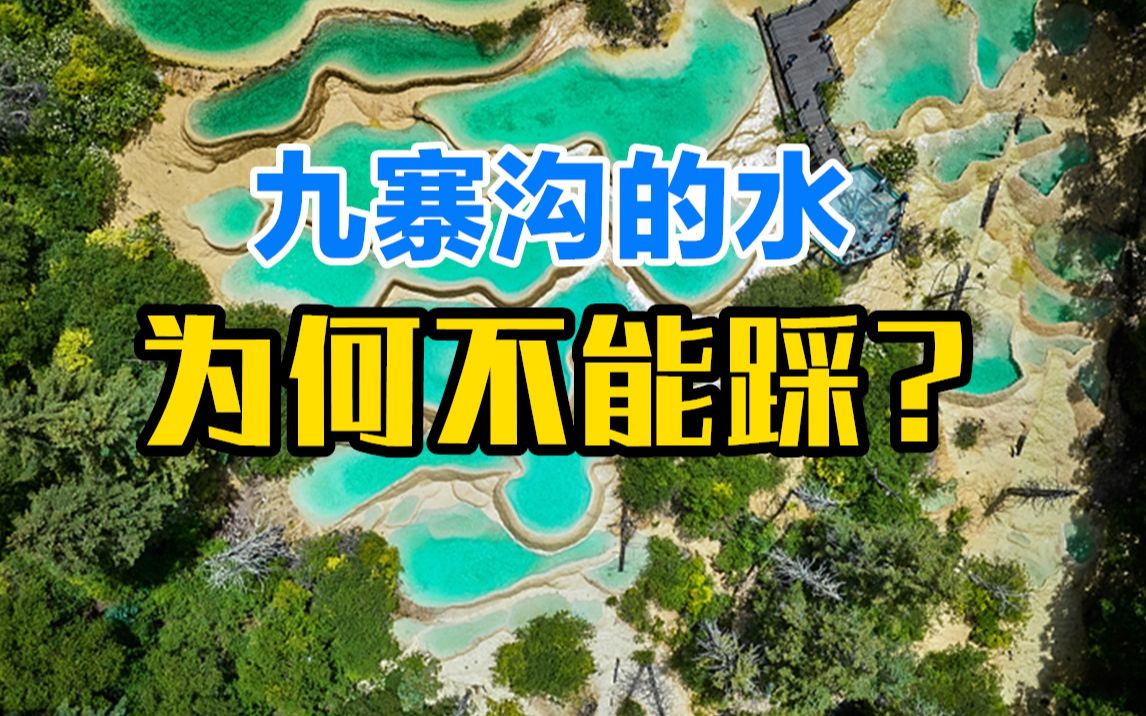 [图]九寨沟的水为何不能踩？