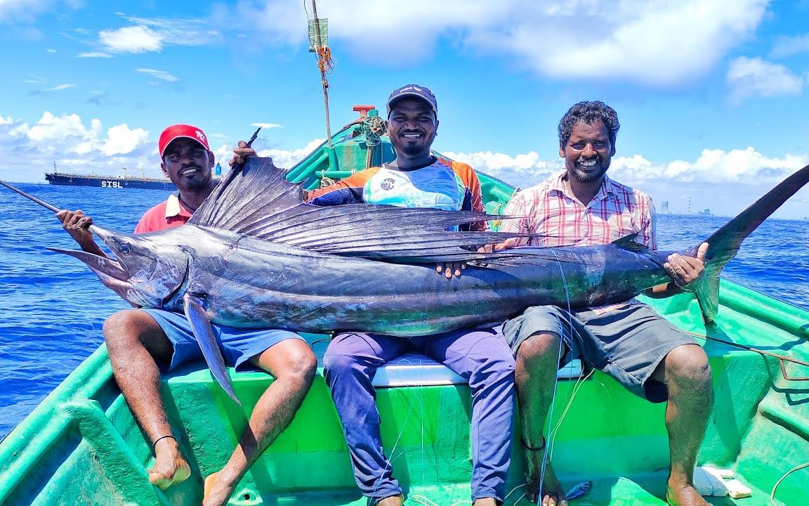 印度洋深海釣巨型旗魚,串鉤海釣深海大魚接近上百斤,個頭很兇猛