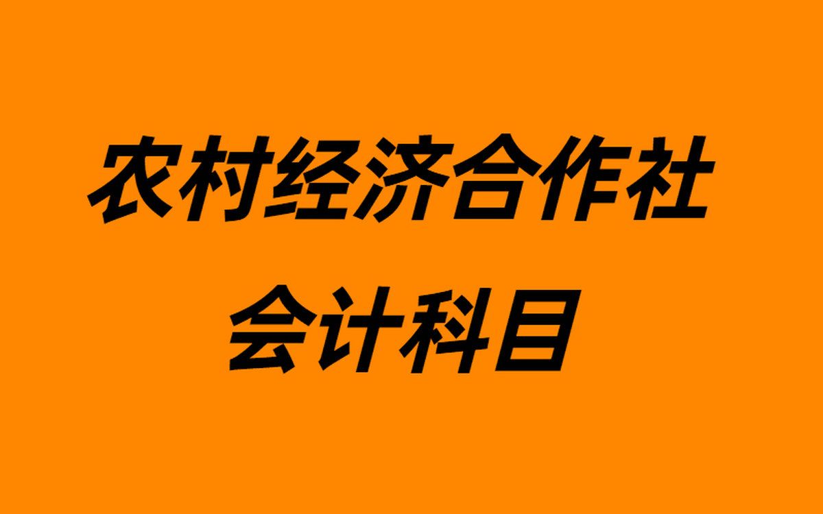 农村经济合作社会计科目哔哩哔哩bilibili