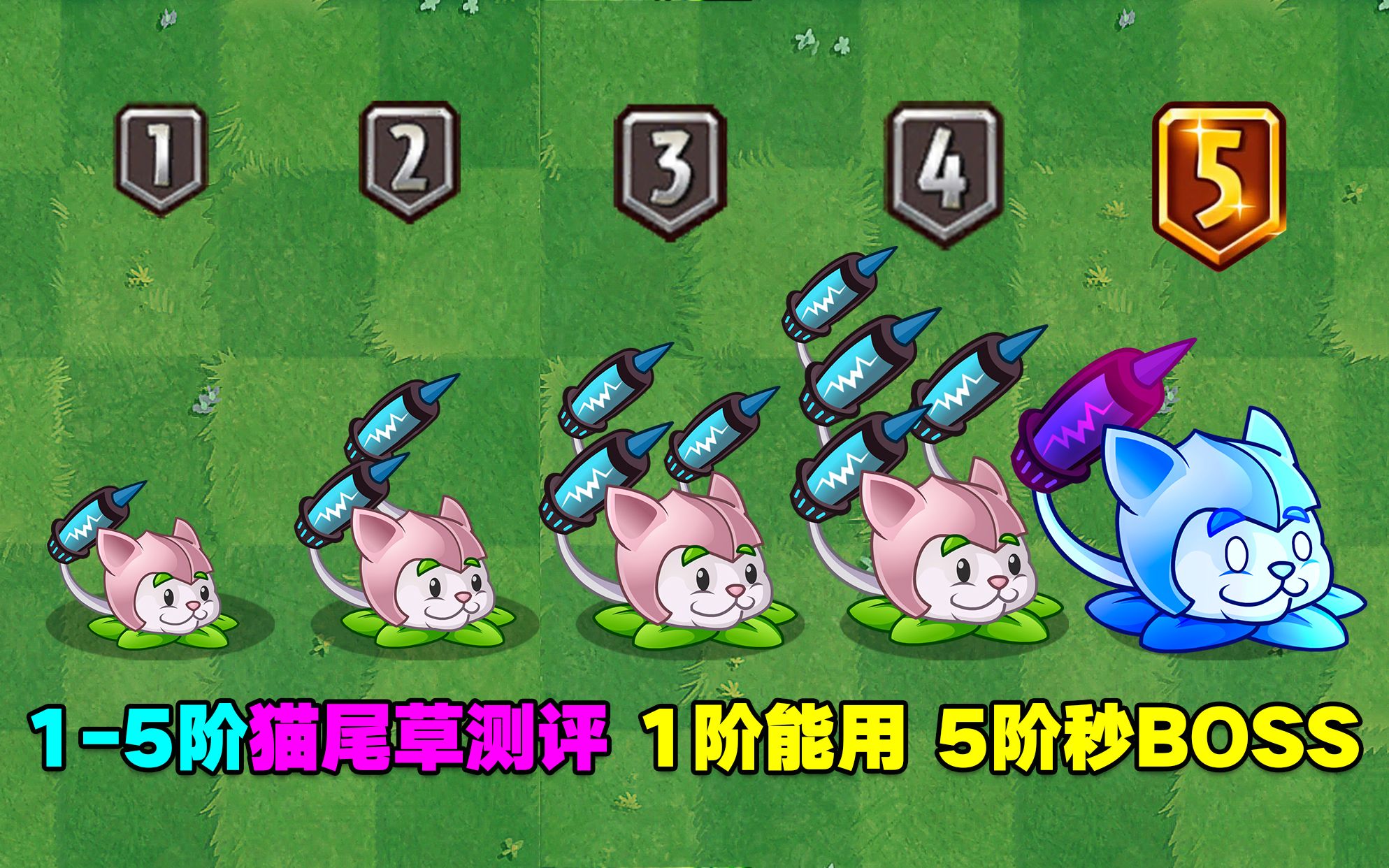 植物大战僵尸2猫尾草厉害吗 植物大战僵尸怎么免费获得猫尾草