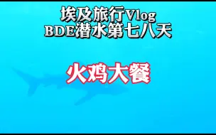 Скачать видео: 非洲旅行700多天的故事之埃及船宿潜水