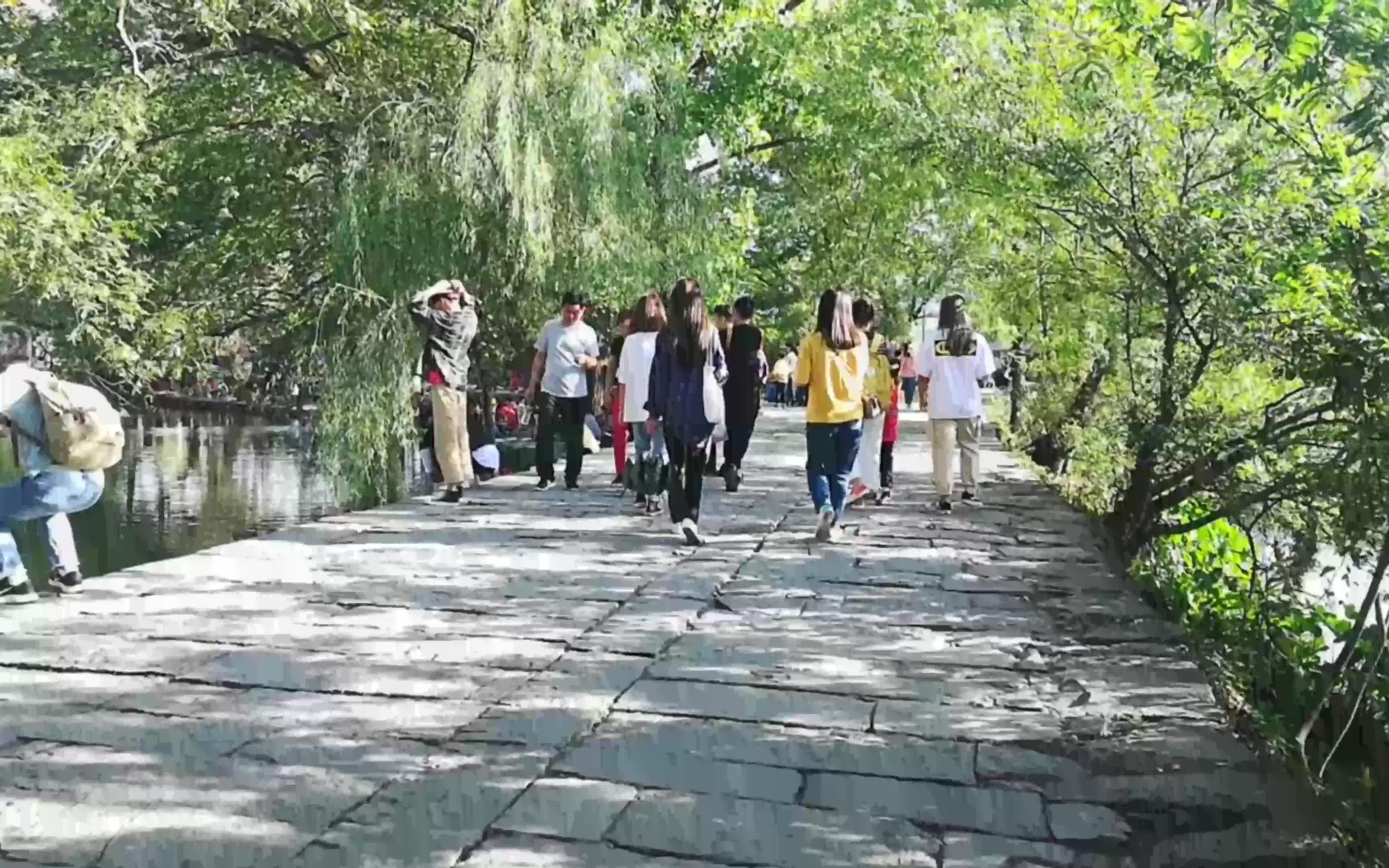 十一国庆出游黄山宏村风景区随拍,强烈建议大家以后不要选择节假日出行!哔哩哔哩bilibili