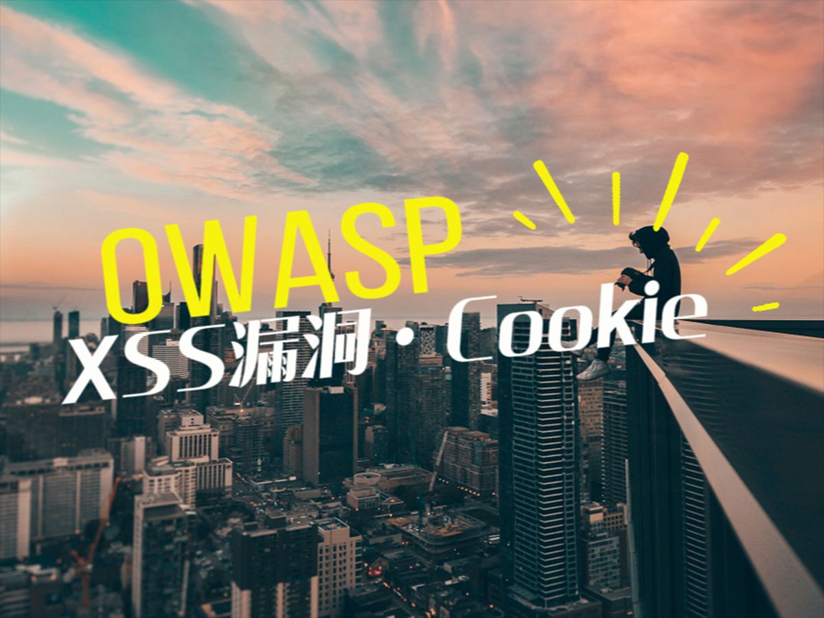 OWASP TOP 10之XSS Cookie和Session详解，Coo... 哔哩哔哩