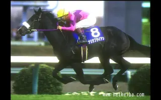 朝日杯未来锦标 哔哩哔哩 Bilibili