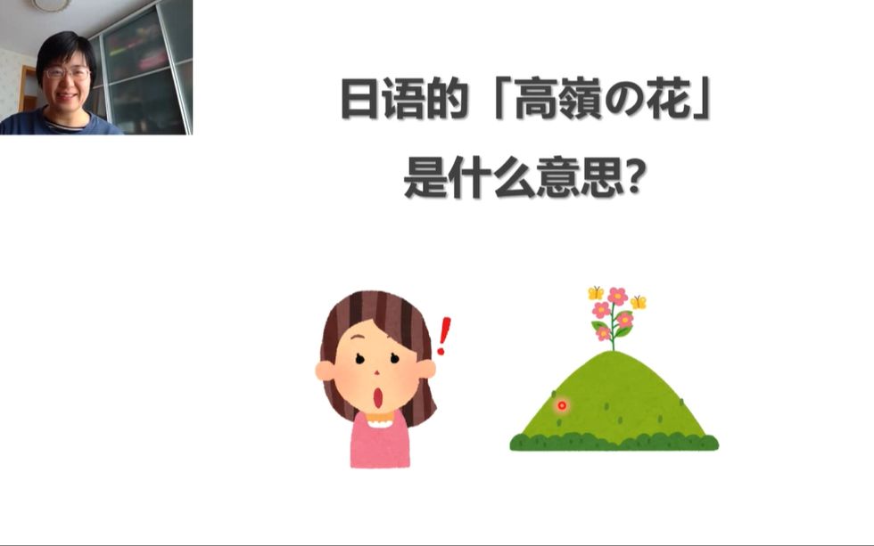 日语的「高岭の花」是什么意思?哔哩哔哩bilibili