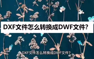 Download Video: DXF文件怎么转换成DWF文件？知道它就解决了