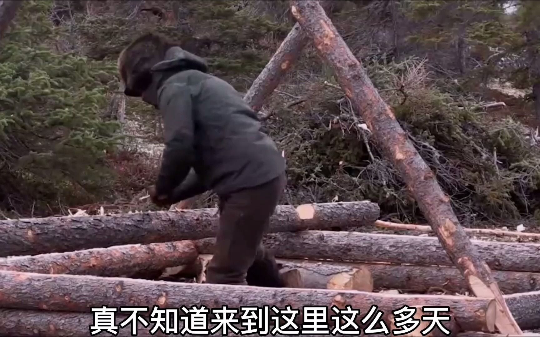 荒野独居在北极荒野生存100天就有600万的奖金你愿意么