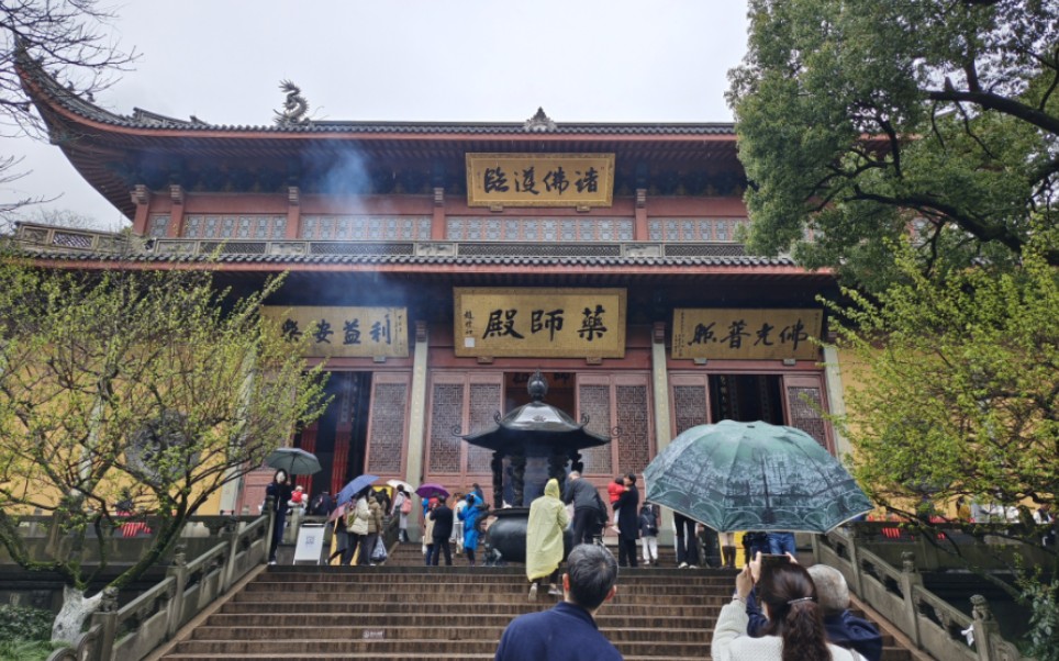 下雨天访灵隐寺 感谢小动物们配合出镜