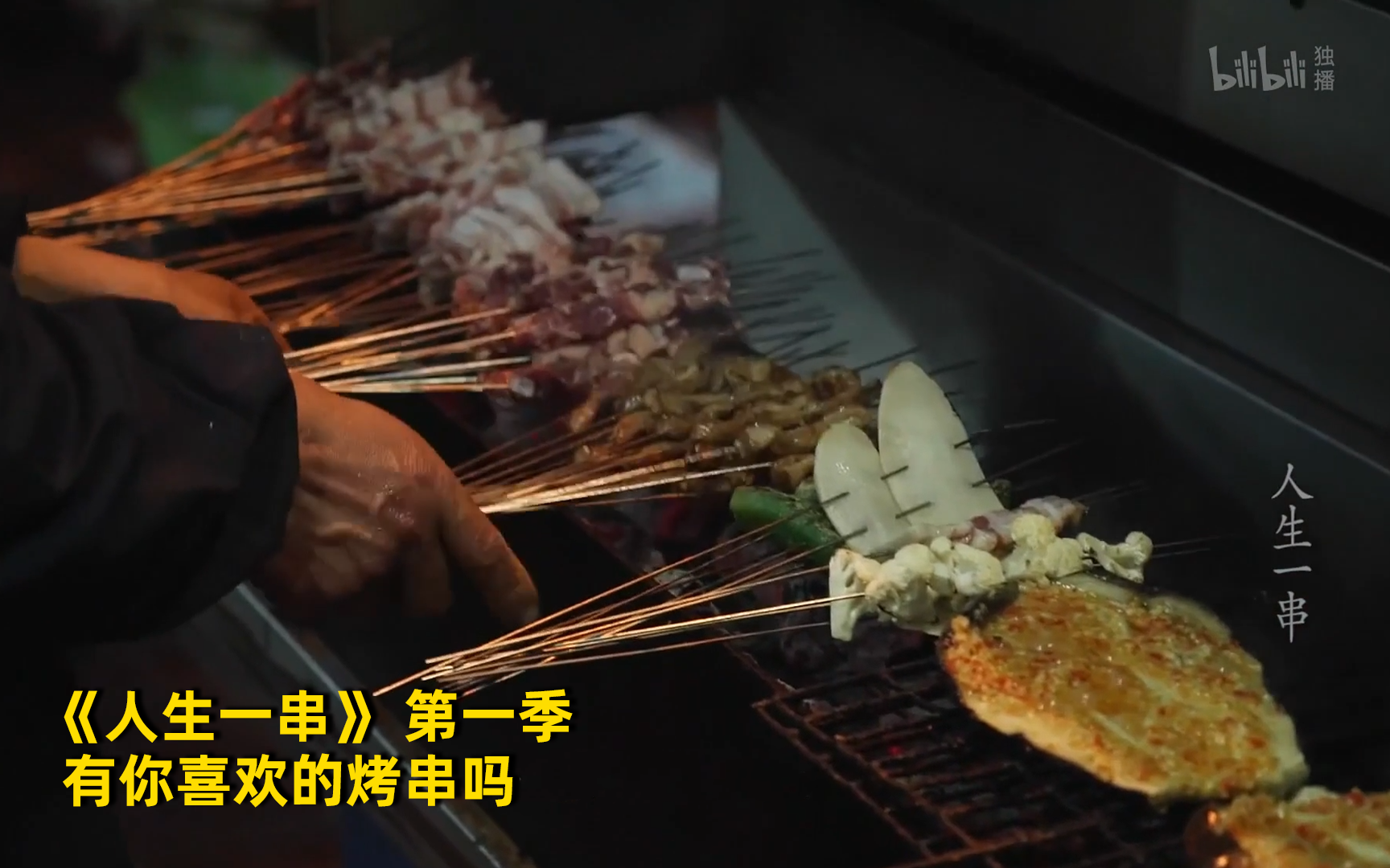 人生一串看点25-纪录片-全集-高清独家在线观看-bilibili-哔哩哔哩