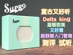 Download Video: 复古又好听！Supro Delta King 温暖甜美又好看的入门电子管音箱！贼舒服的电吉他音箱 我在农村卖吉他 煎饺乐器