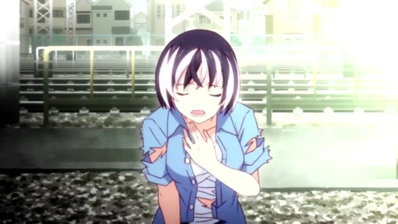 【羽川翼】feelingstide