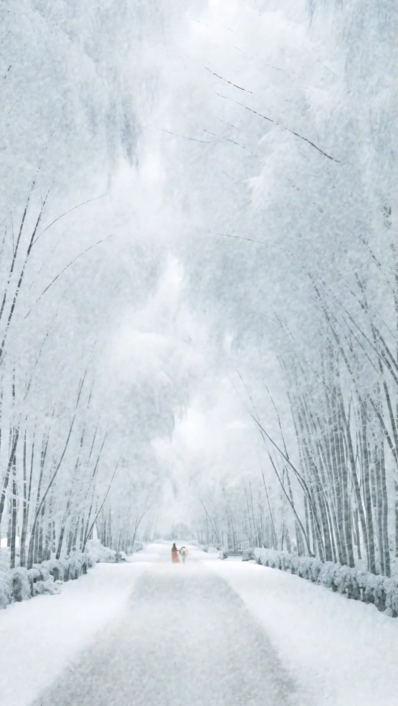 走不出自己的执念,天下到处是牢笼.