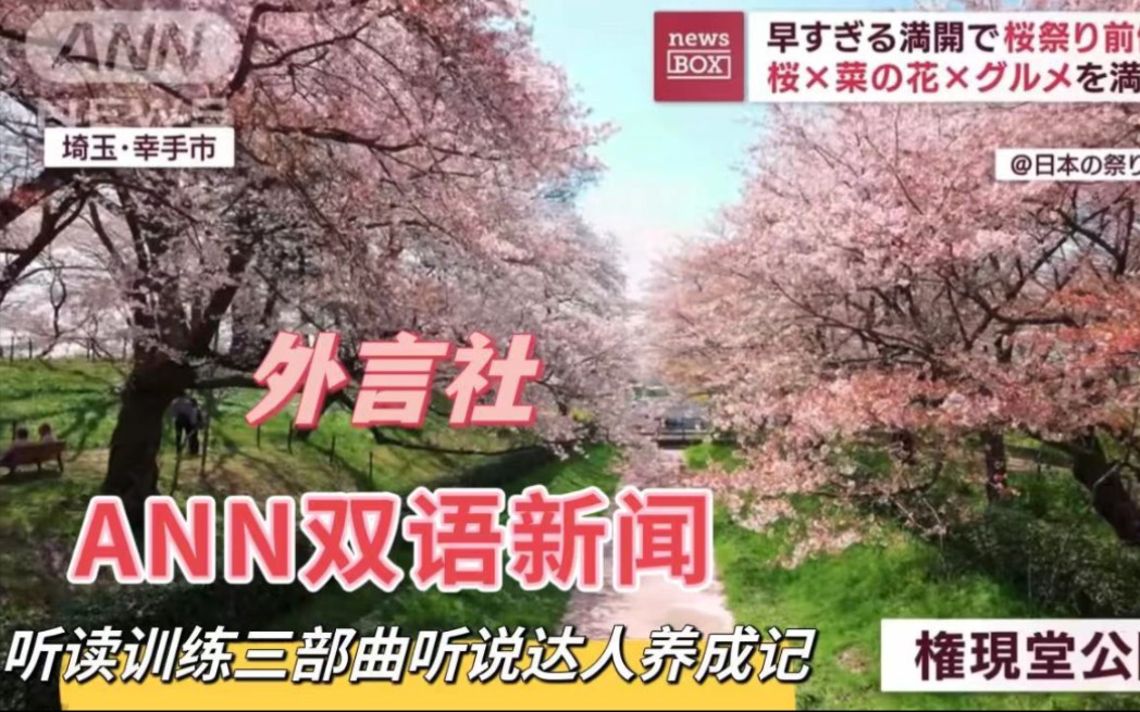 [图]【看新闻学日语】由于樱花提前盛开，日本著名樱花景点埼玉县的权现堂公园提前举行樱花节。一起来云赏樱、练听力吧~成都日语学习