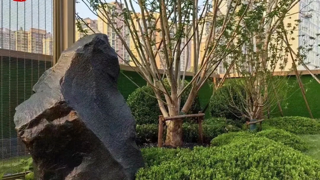 中国黑庭院景石分享