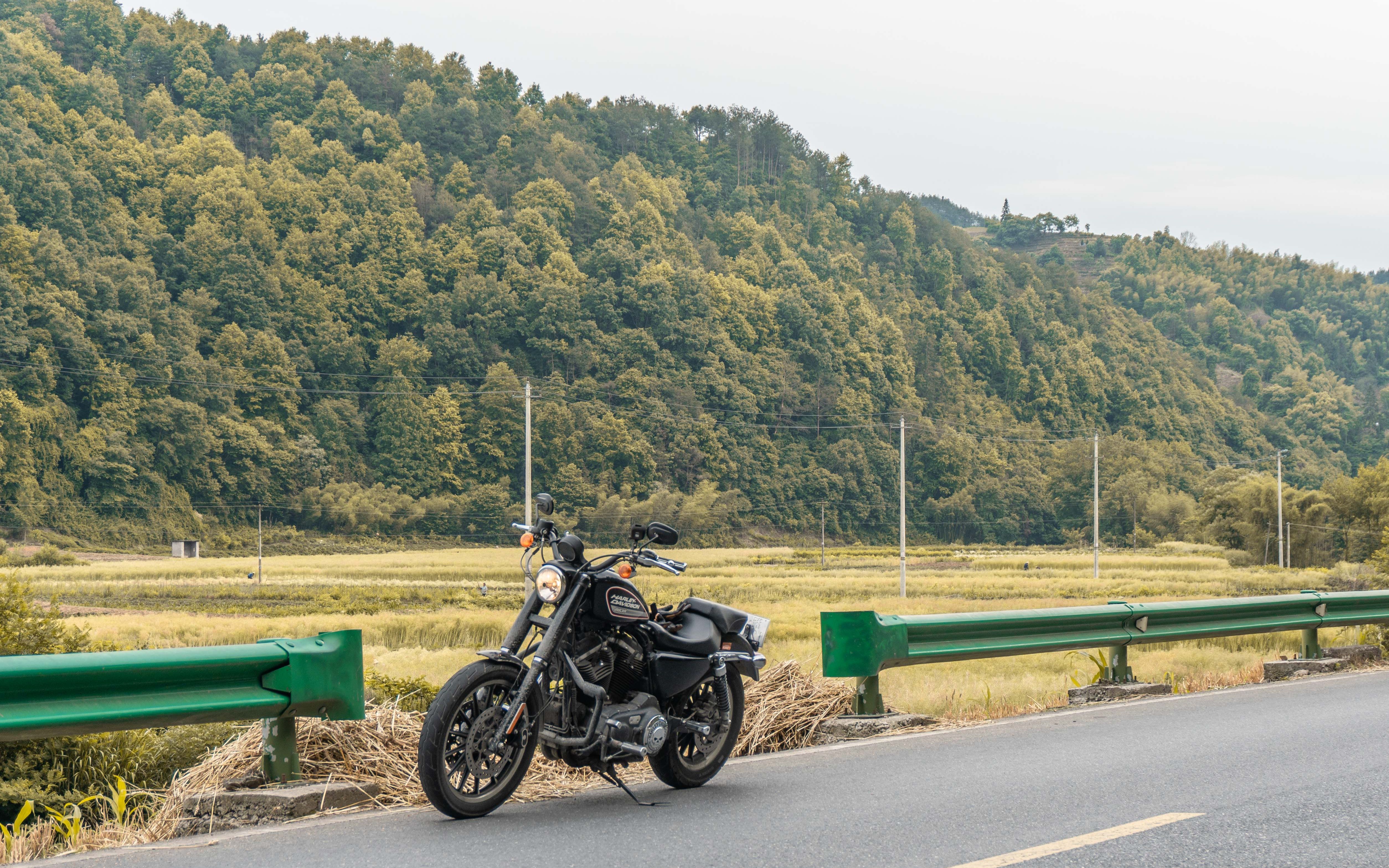 哈雷883千岛湖安徽路段骑行山沟沟儿时的回忆