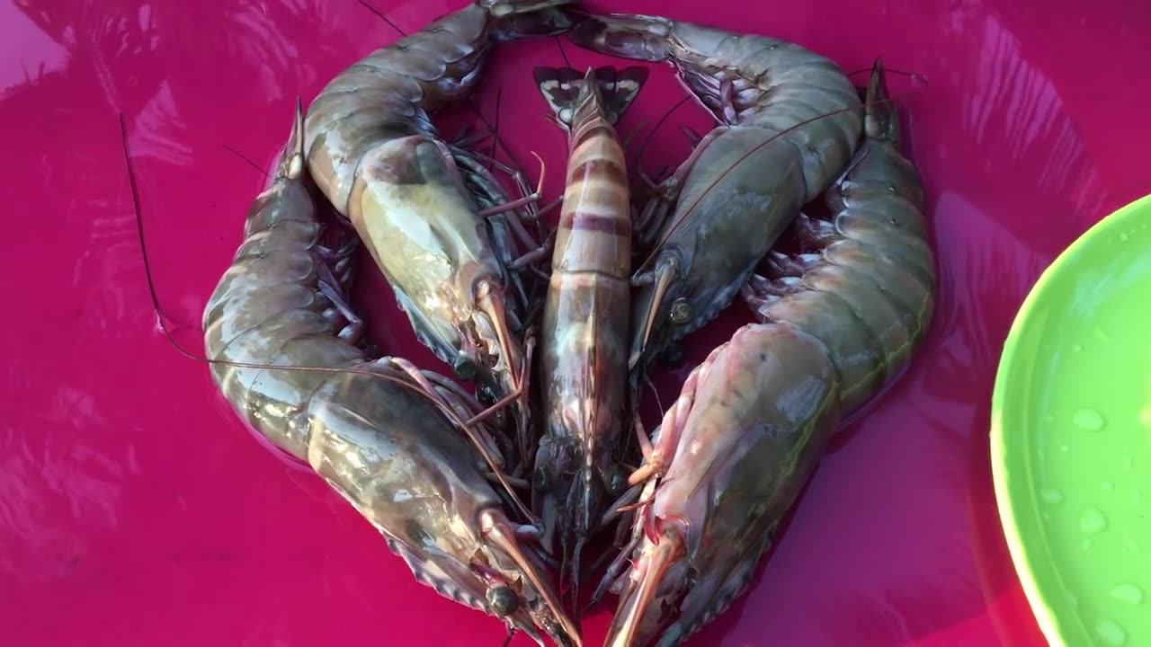 【印度乡村美食】虾爆米花烹调巨虾煮酥,香辣可口虾爆米花我们村