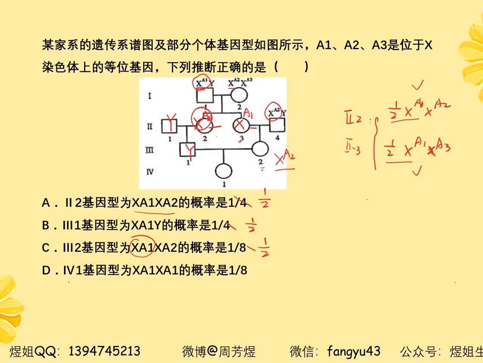 复等位基因图片图片