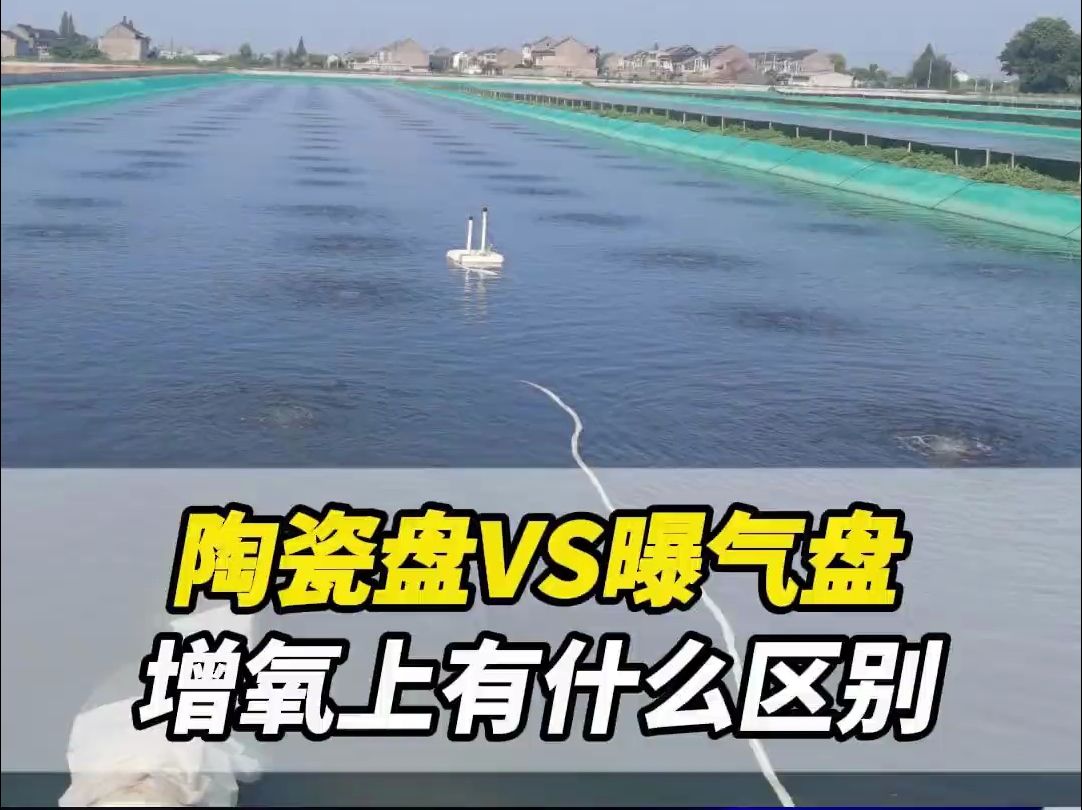 水产养殖中,陶瓷盘VS曝气盘,在增氧上有什么区别哔哩哔哩bilibili