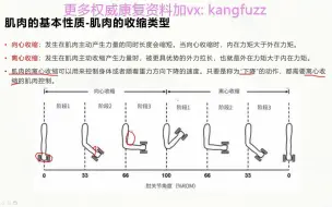 下载视频: 基础肌动学第3章-骨骼肌的构造和功能