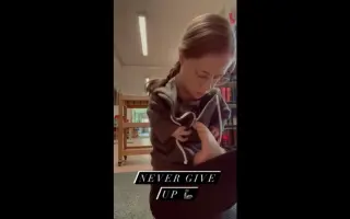 海豹胎 搜索结果 哔哩哔哩 Bilibili