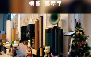 Download Video: B&O Beolab 28 傅菁 忘不了