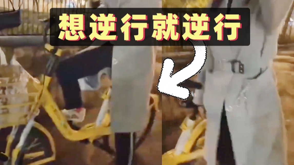 女子骑车逆行与小伙相撞，女子：你学历没我高！你是本科吗？是硕士吗？【1789期】