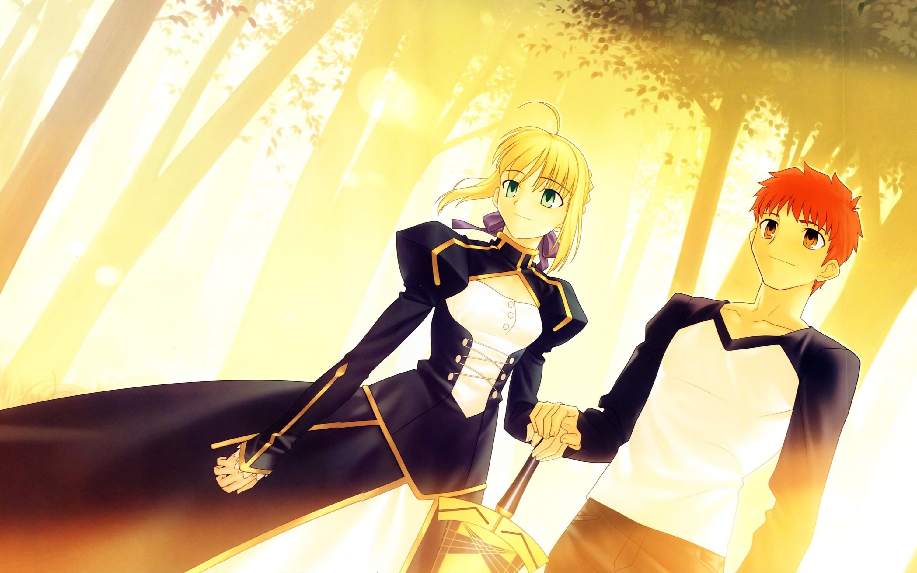 fsn/saber last episode