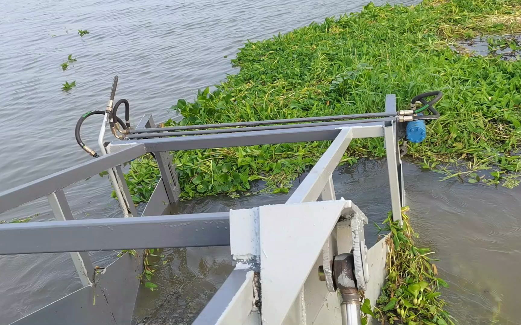 水草打捞收割现场工作视频