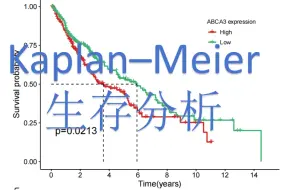 Descargar video: 11. Kaplan–Meier 生存分析