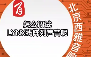 Download Video: 怎么调试LYNX线阵列声音呢？