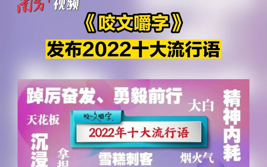 《咬文嚼字》发布2022十大流行语:拿捏、雪糕刺客等入选哔哩哔哩bilibili