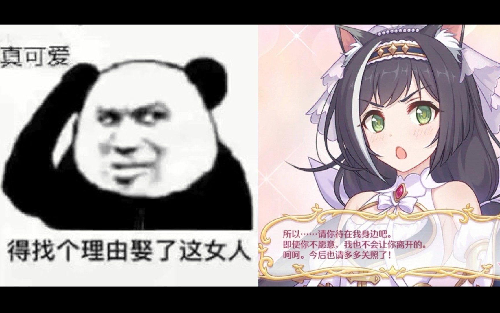 【公主连结】dei找个理由娶了这只婚纱猫猫头